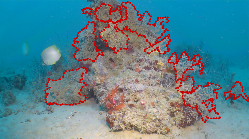 Mapping seafloor habitats: expert prediction of coral placement