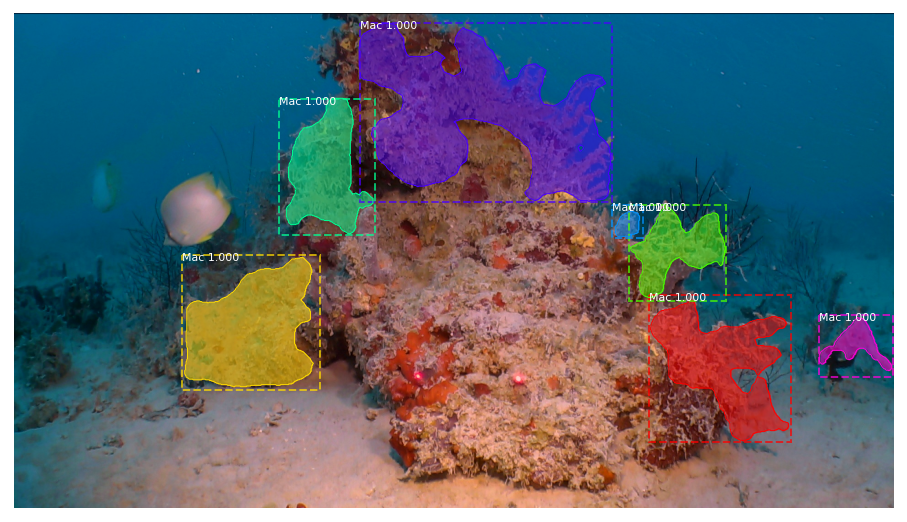 Mapping seafloor habitats: Jaxon's prediction of coral placement